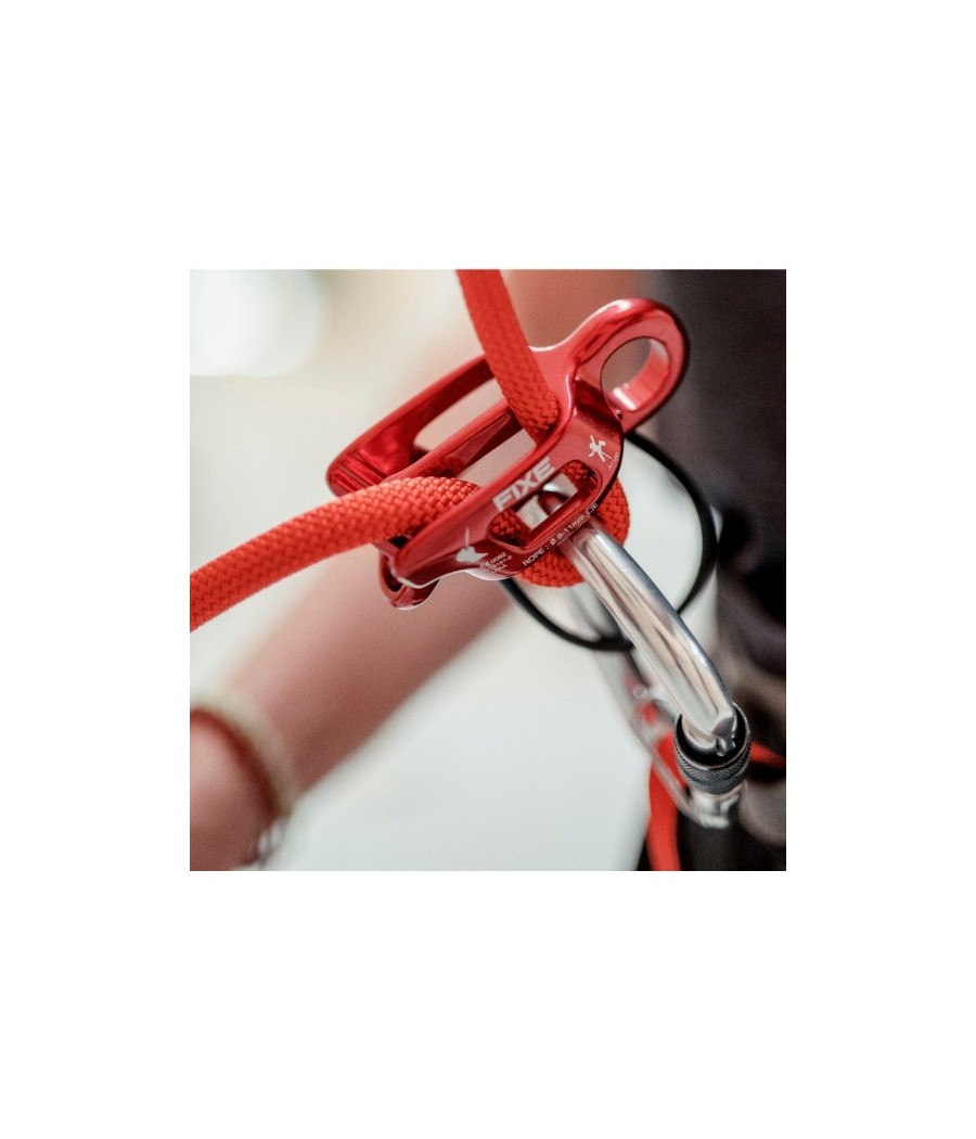 asegurador doble light fixe