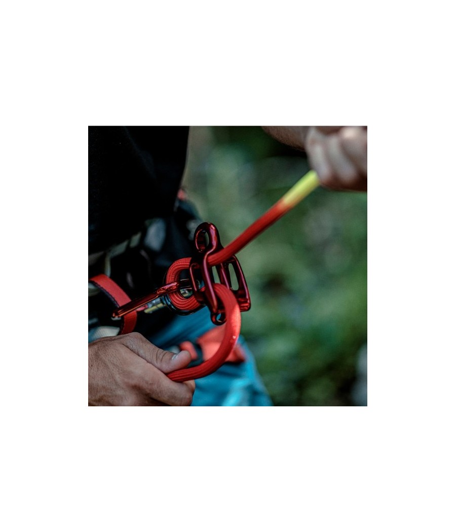 asegurador doble light fixe