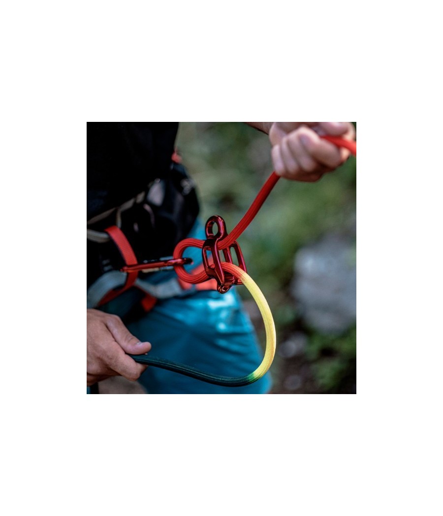 asegurador doble light fixe