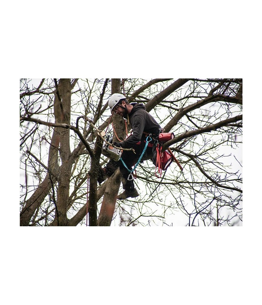 arnes skill tree rock empire