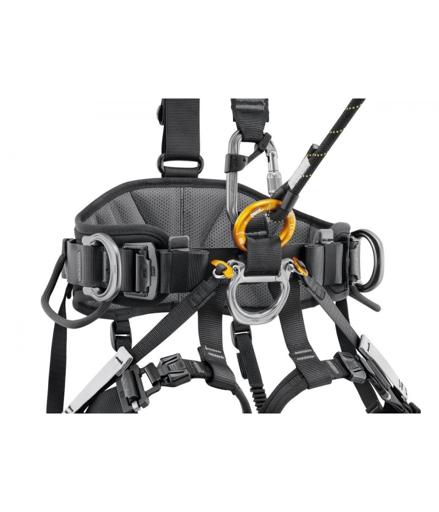 arnes avao fast petzl pro