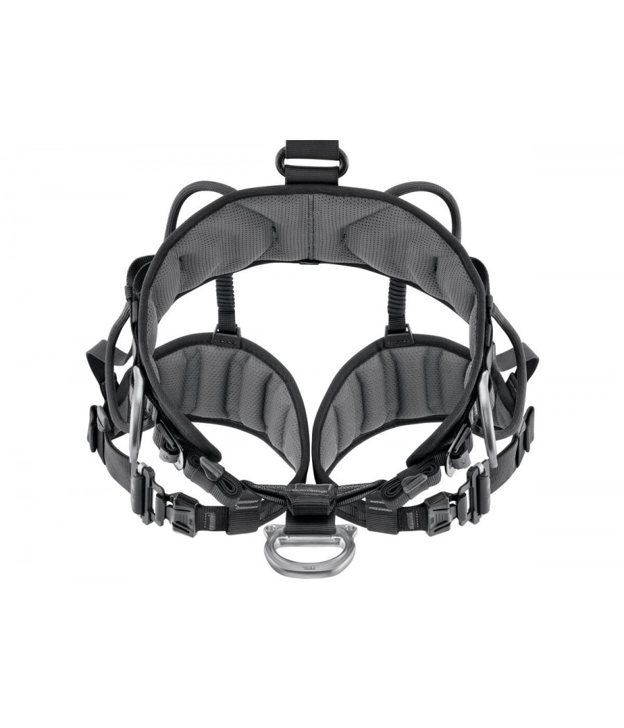 arnes avao fast petzl pro