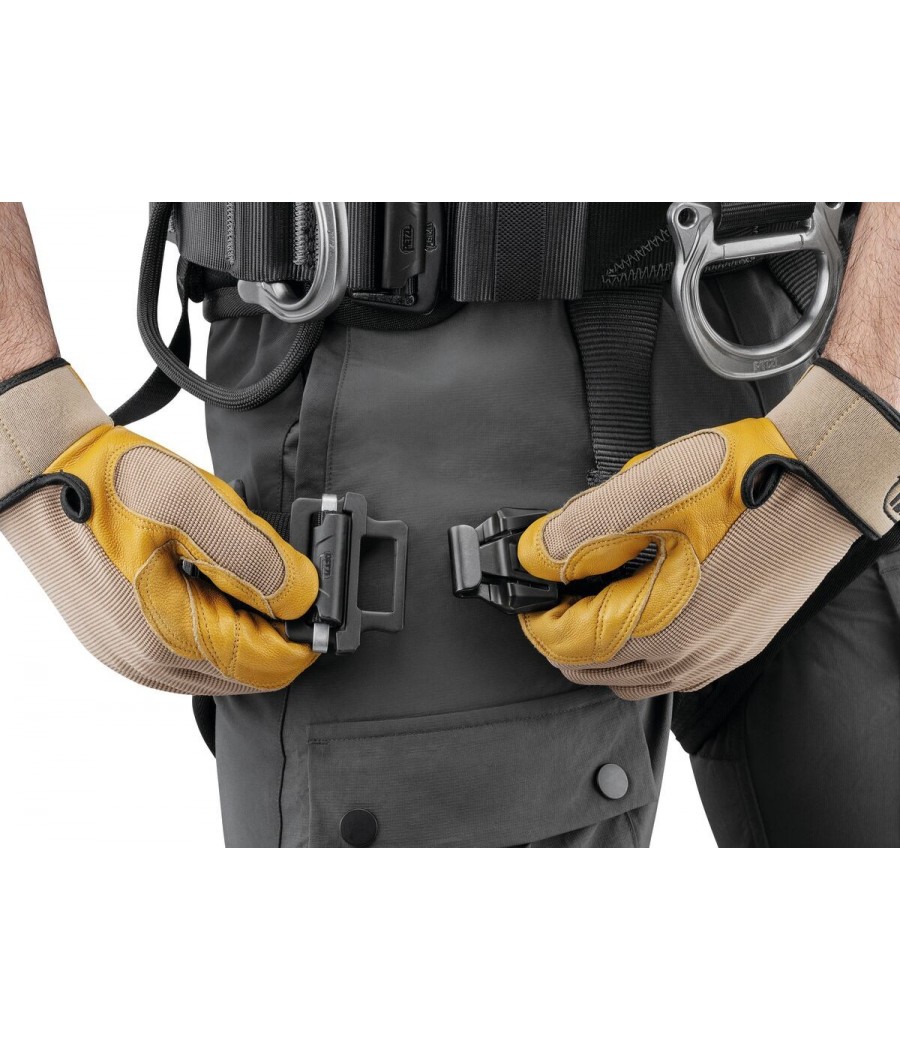 arnes avao fast petzl pro