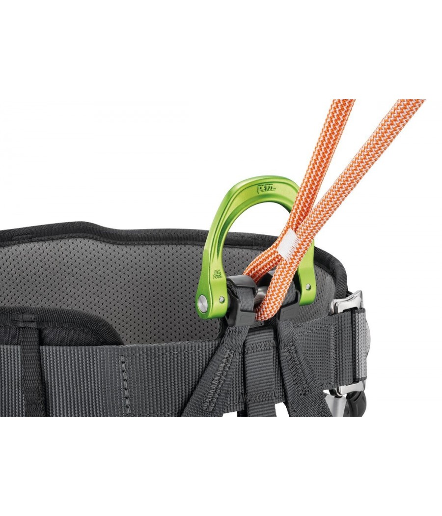 dual canyon guide petzl