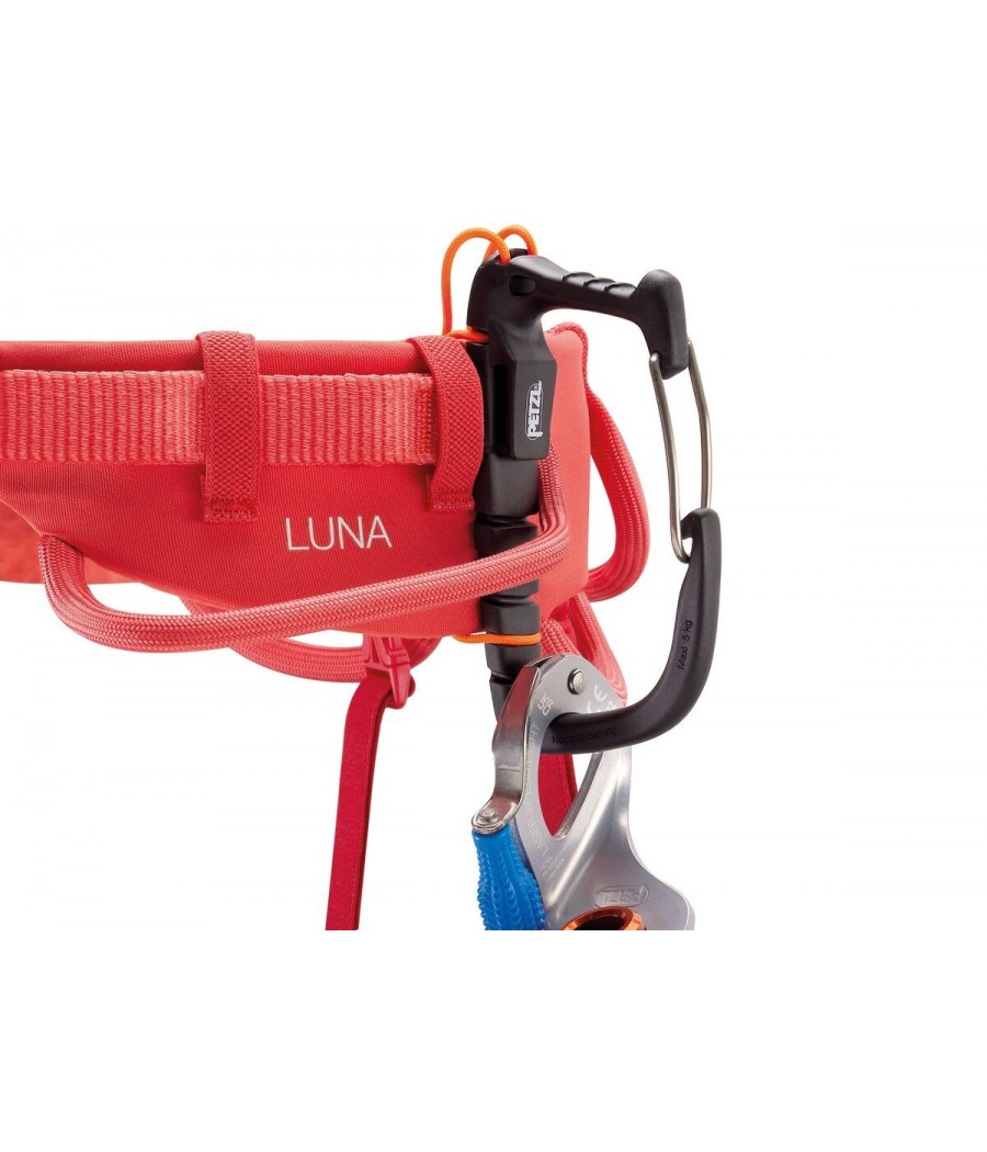 arnes luna petzl