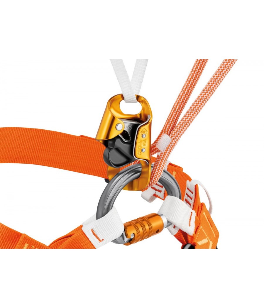 mosqueton omni triak lock petzl